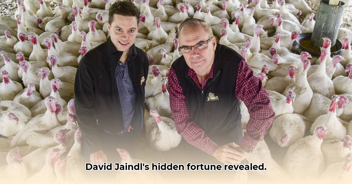 david-jaindl-net-worth